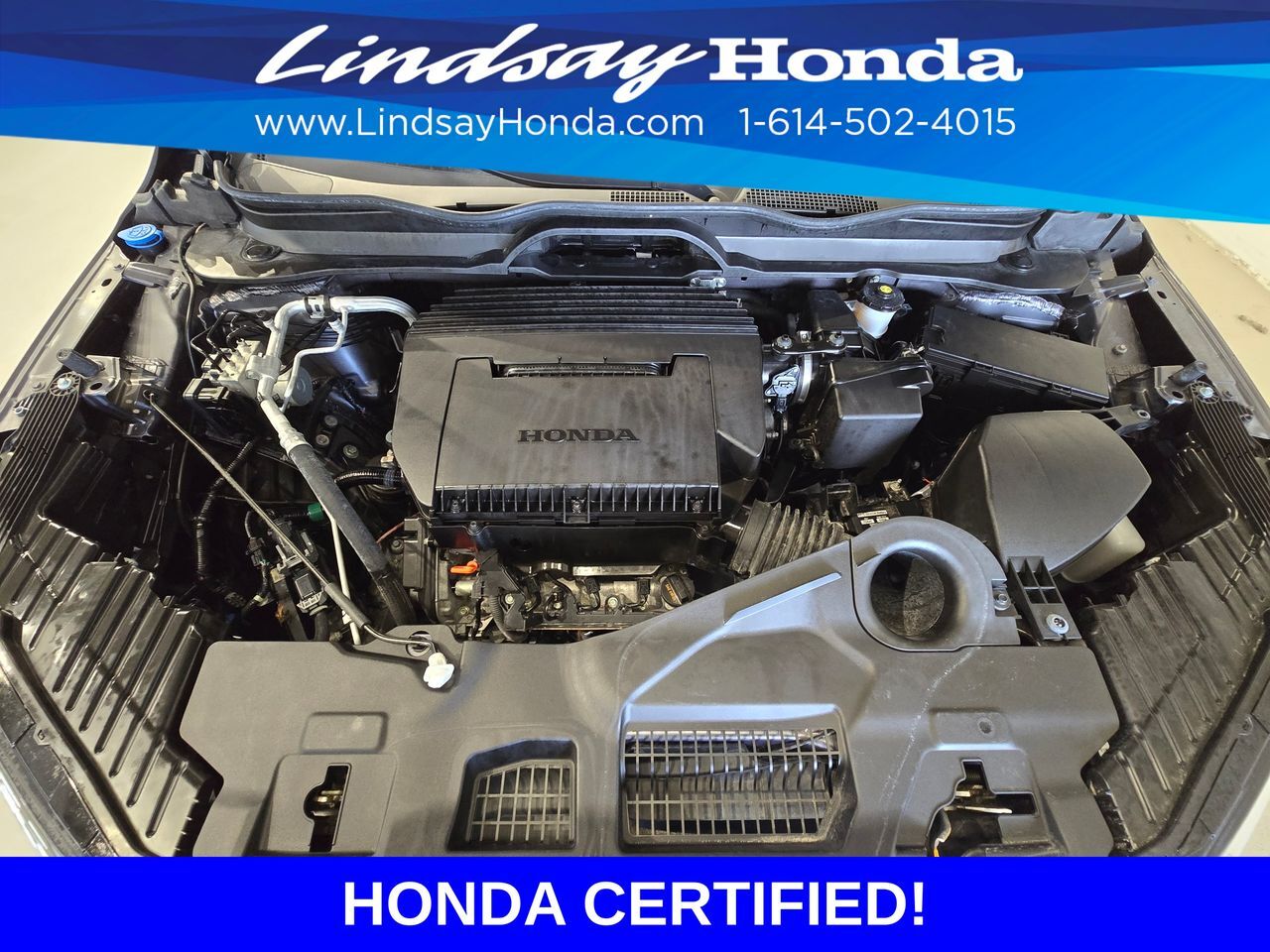 2024 Honda Pilot Elite Columbus OH