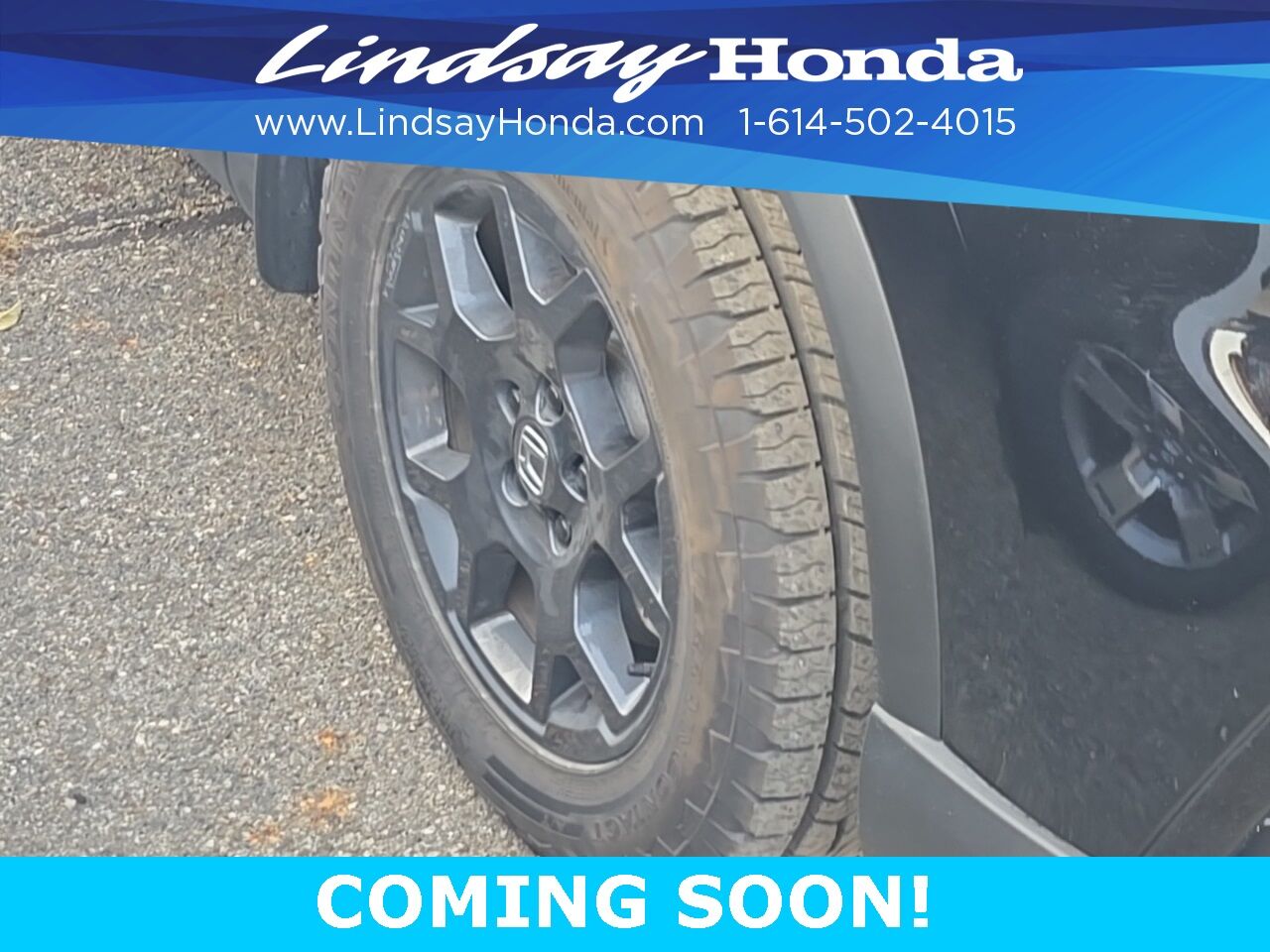 2024 Honda Pilot TrailSport Columbus OH