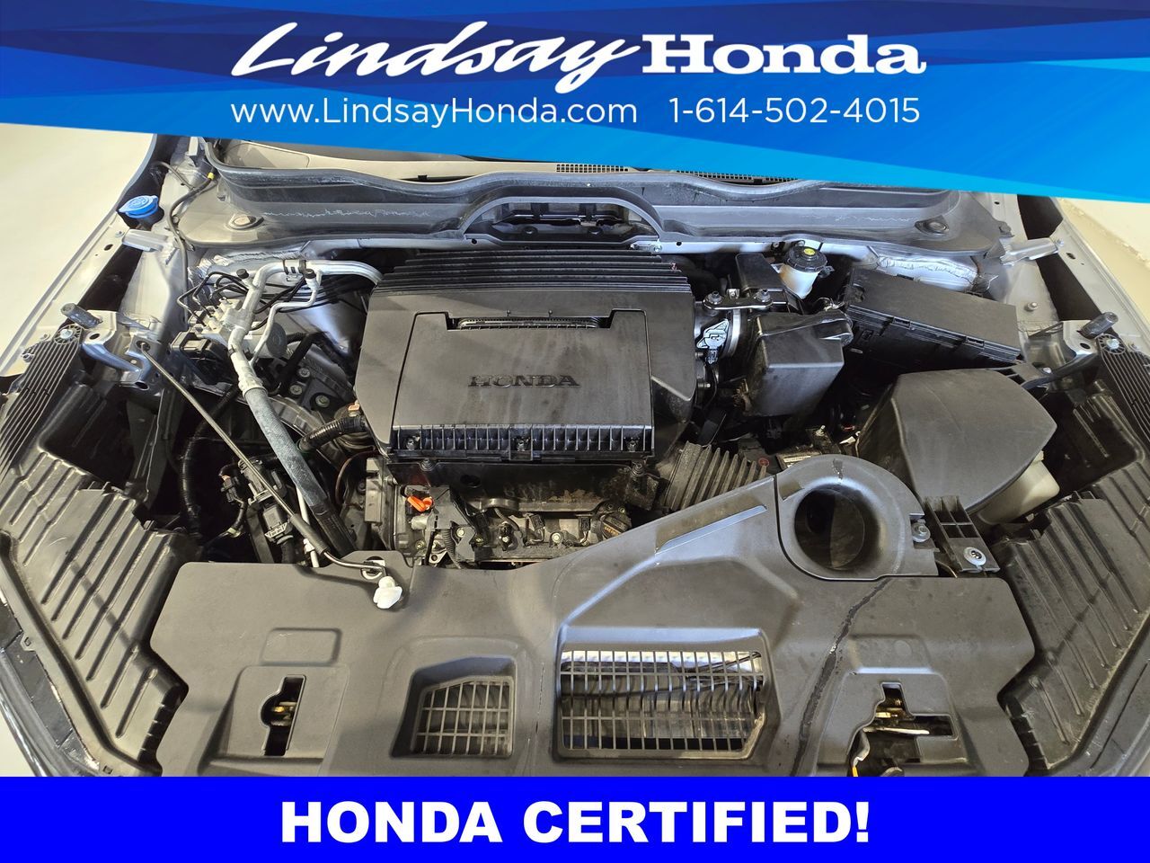 2024 Honda Pilot TrailSport Columbus OH