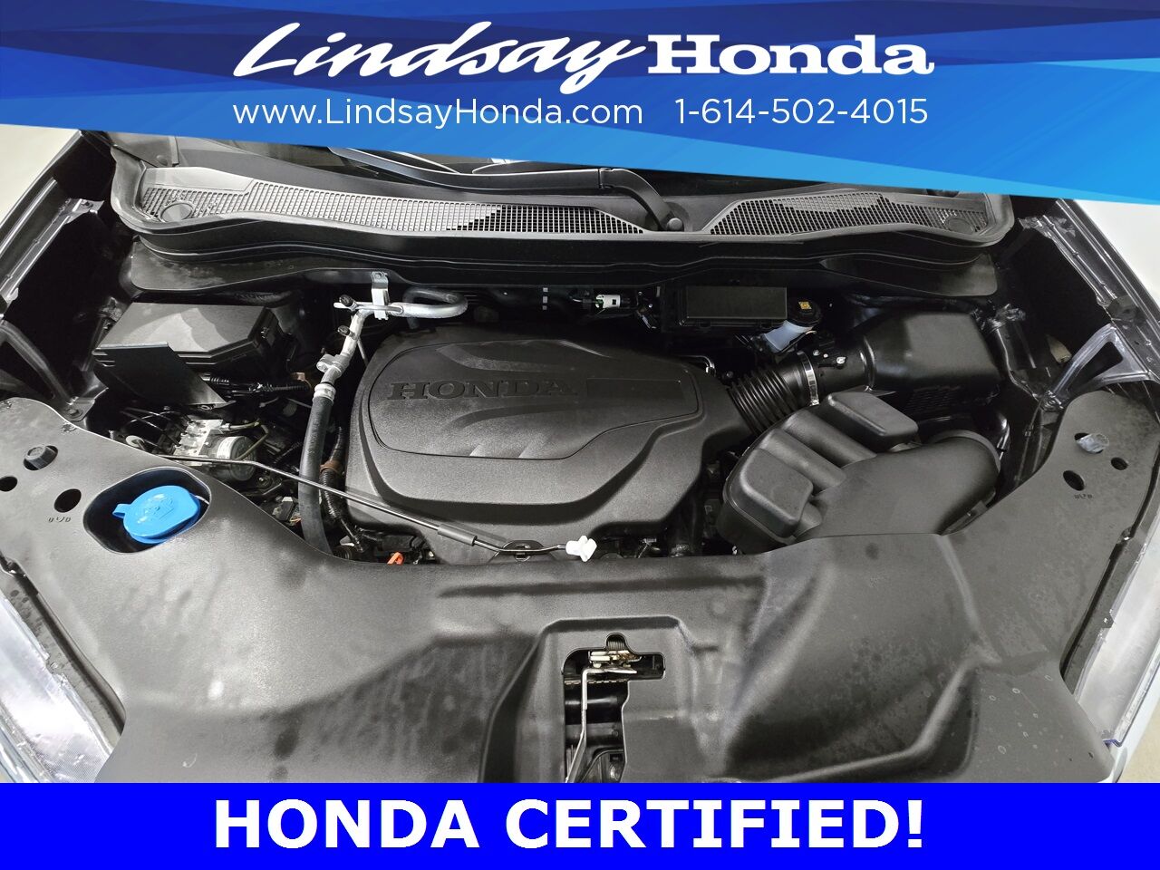 2024 Honda Ridgeline RTL Columbus OH