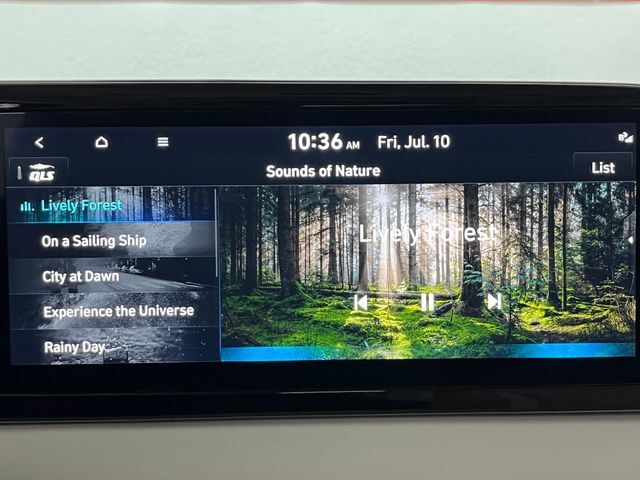 2024 Hyundai Palisade Calligraphy Carrollton TX