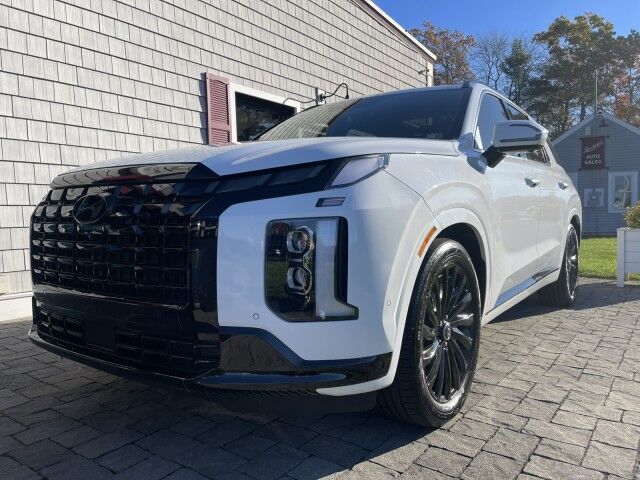 2024 Hyundai Palisade Calligraphy Night Edition