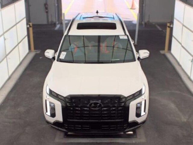2024 Hyundai Palisade Calligraphy Night Edition