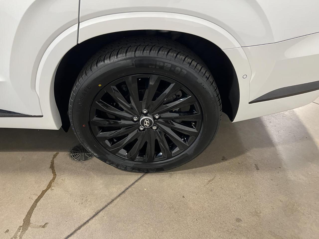 2024 Hyundai Palisade Calligraphy Night Edition Parker CO