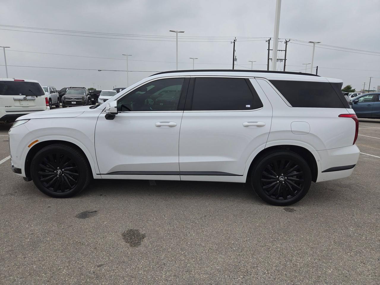 2024 Hyundai Palisade Calligraphy Night Edition Castroville TX
