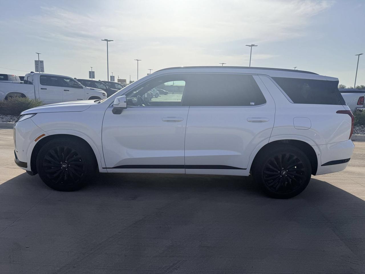 2024 Hyundai Palisade Calligraphy Night Edition Castroville TX