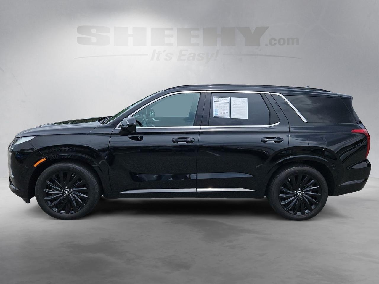 2024 Hyundai Palisade Calligraphy Night Edition Waldorf MD