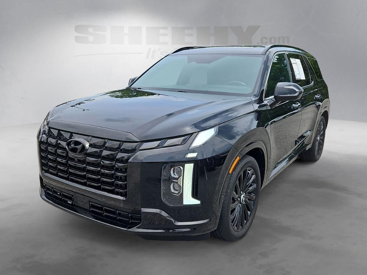 2024 Hyundai Palisade Calligraphy Night Edition Waldorf MD