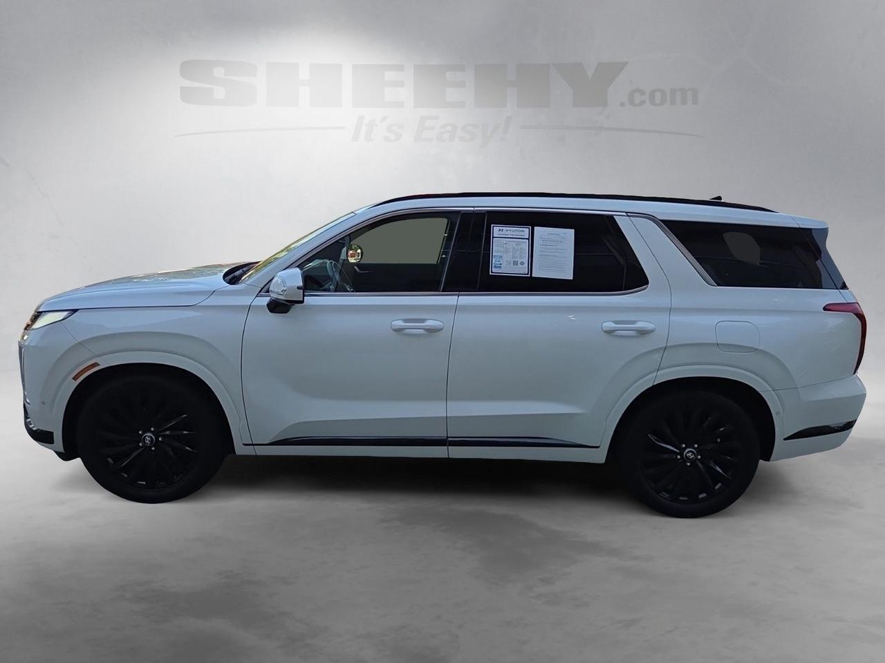 2024 Hyundai Palisade Calligraphy Night Edition Waldorf MD