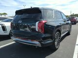 2024 Hyundai Palisade Calligraphy Oshkosh WI