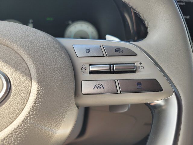 2024 Hyundai Palisade Calligraphy Roseville CA
