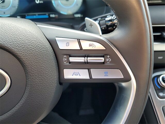 2024 Hyundai Palisade Calligraphy St. Augustine FL