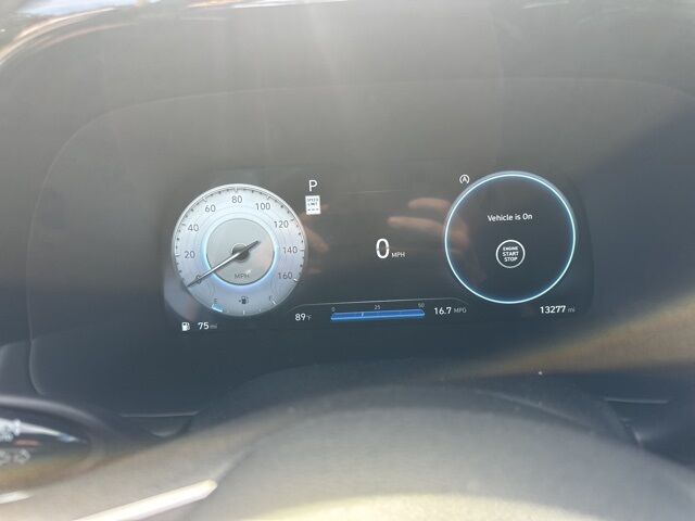2024 Hyundai Palisade Calligraphy St. Augustine FL