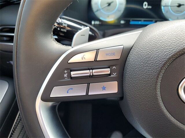 2024 Hyundai Palisade Calligraphy St. Augustine FL