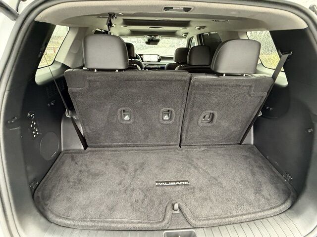 2024 Hyundai Palisade Limited TX 2024 Hyundai Palisade Limited TX