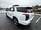 2024 Hyundai Palisade Limited TX 2024 Hyundai Palisade Limited TX