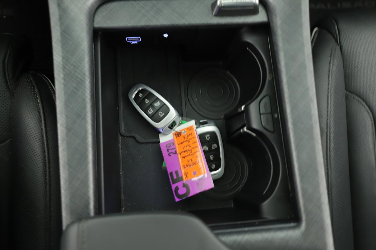 2024 Hyundai Palisade Limited New Braunfels TX