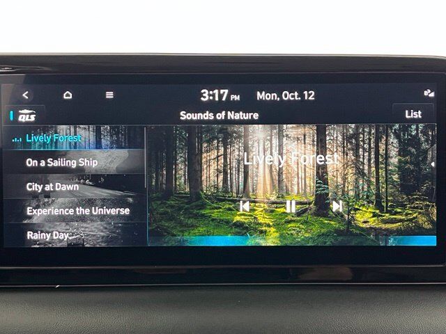 2024 Hyundai Palisade SEL Carrollton TX