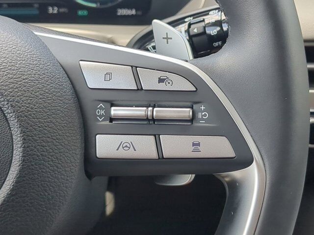 2024 Hyundai Palisade SEL Appleton WI