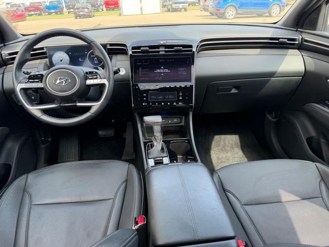 2024 Hyundai Santa Cruz 2.5T Limited Cape Girardeau MO