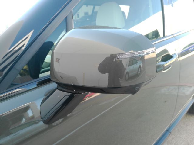 2024 Hyundai Santa Fe Calligraphy Plano TX
