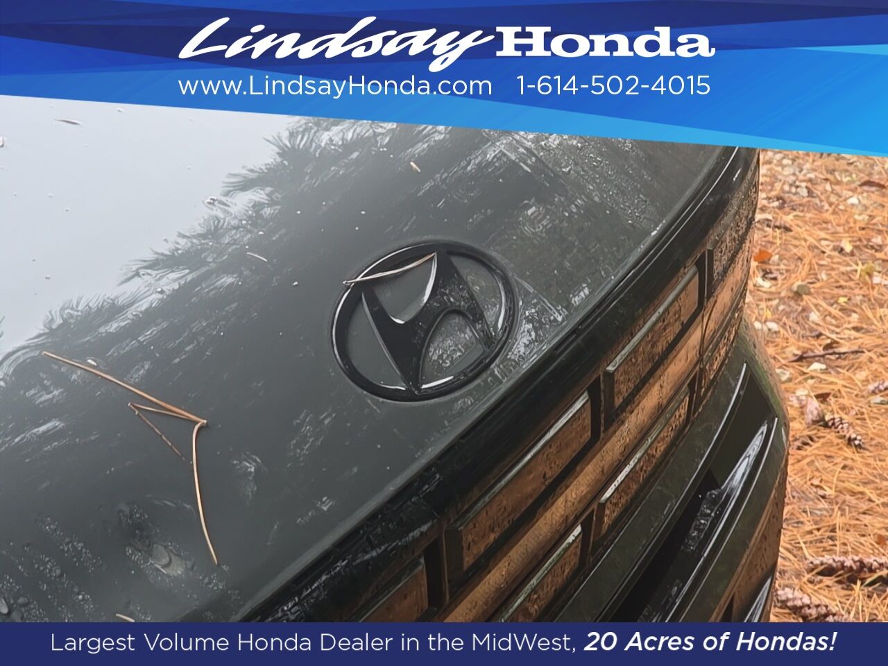 2024 Hyundai Santa Fe XRT Columbus OH