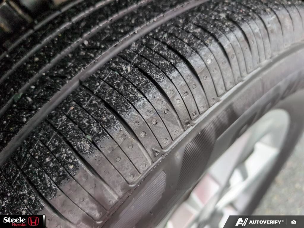 2024 Hyundai Tucson Trend St. John's NL