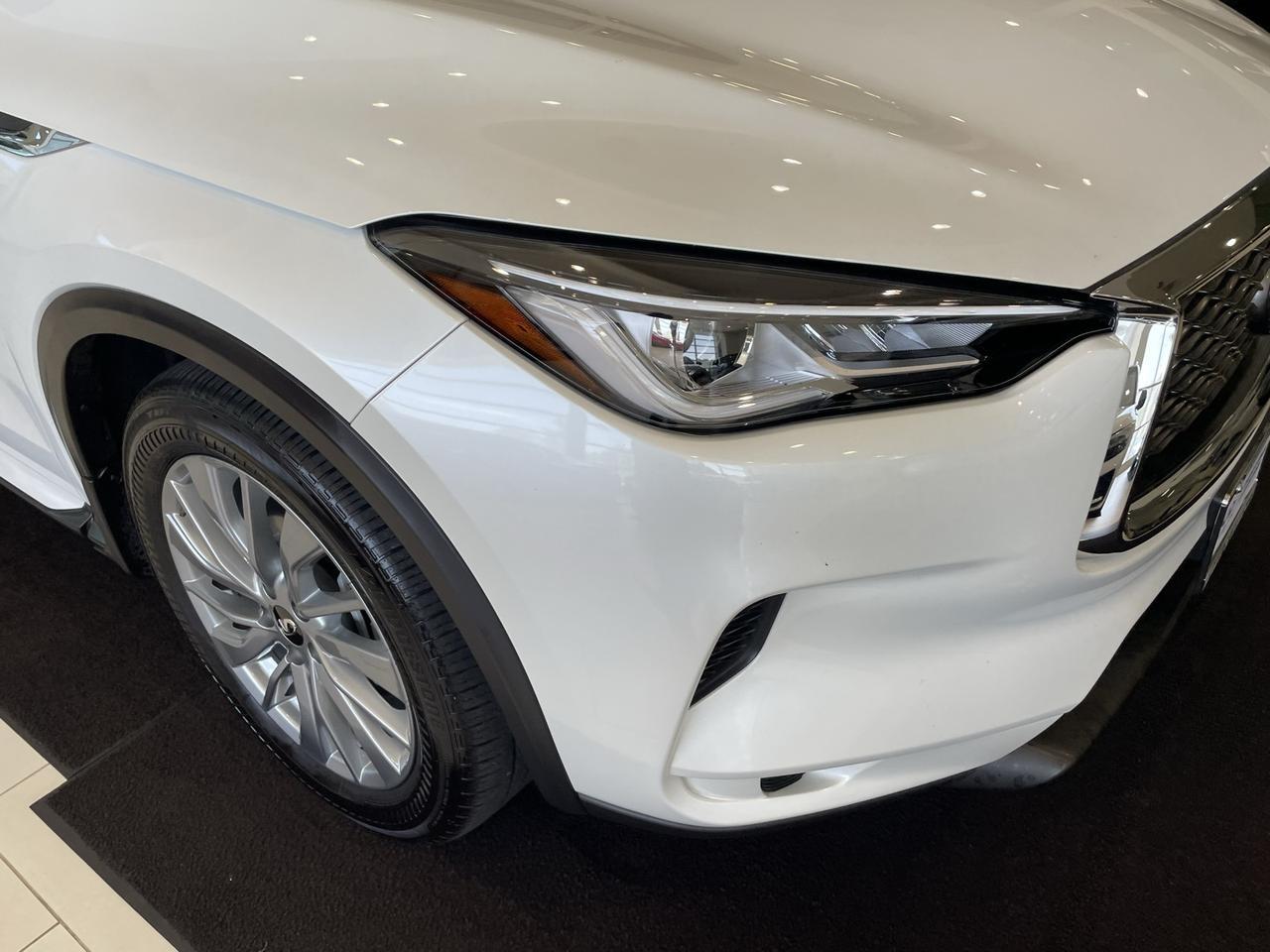 2024 INFINITI QX50 LUXE Annapolis MD