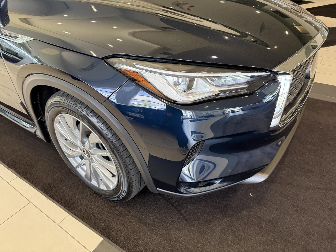 2024 INFINITI QX50 LUXE Springfield VA