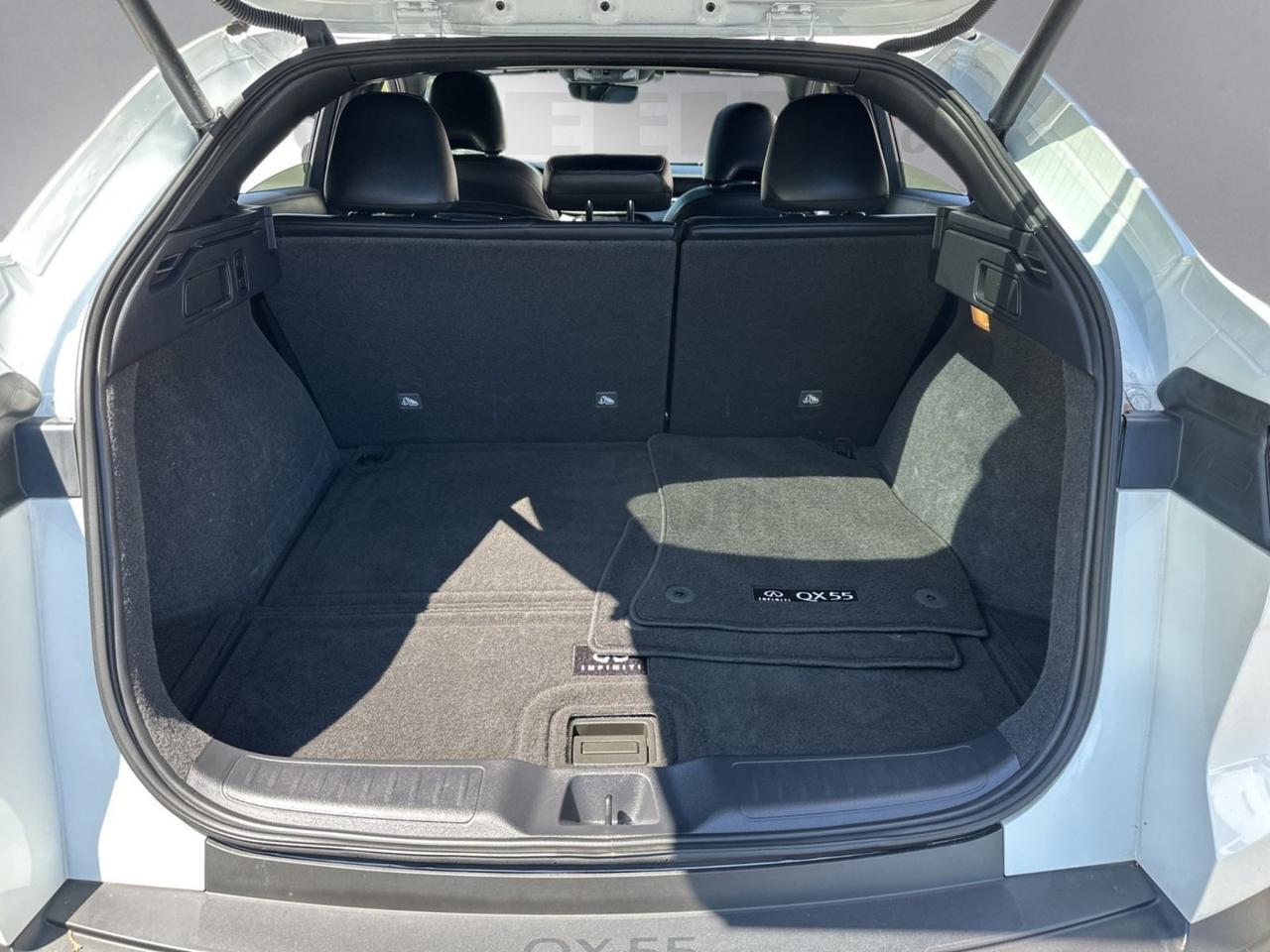 2024 INFINITI QX55 LUXE Chantilly VA