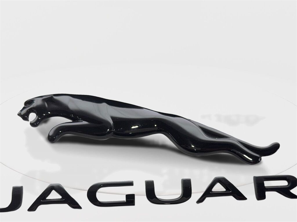 2024 Jaguar F-PACE P250 NAV,CAM,PANO,HTD STS,BLIND SPOT,19&quot; WLS Irving TX