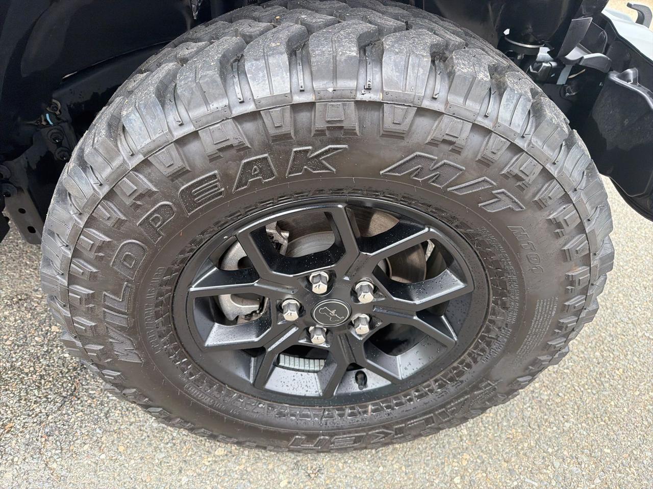 2024 Jeep Wrangler Willys Ashland VA