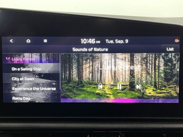 2024 Kia Niro EV Wind Carrollton TX