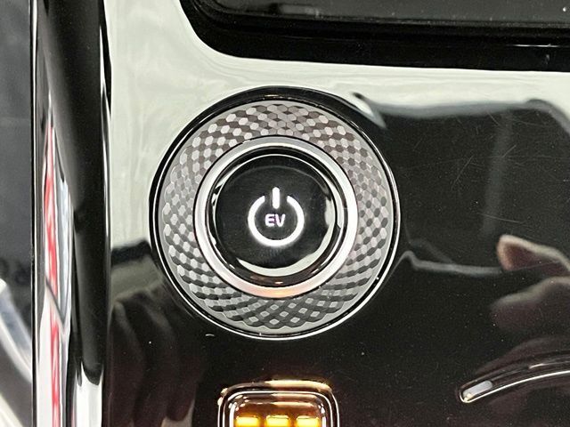 2024 Kia Niro EV Wind Carrollton TX