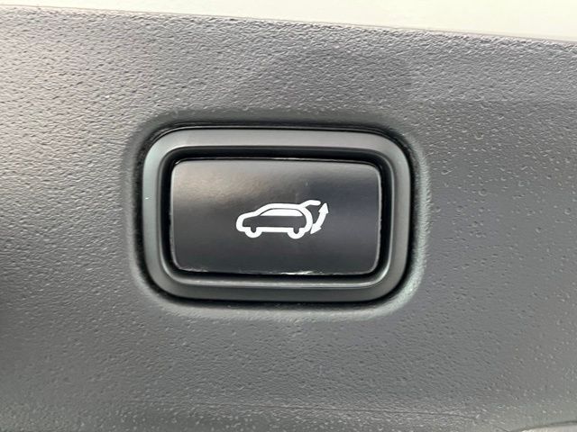 2024 Kia Niro EV Wind Carrollton TX