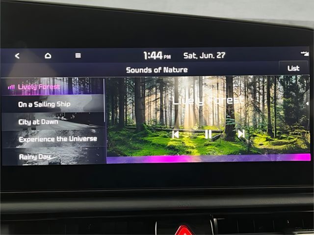 2024 Kia Niro EV Wind Carrollton TX