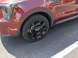 2024 Kia Sorento X-Line SX Oshkosh WI