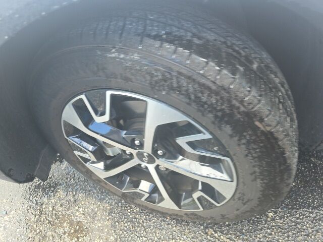 2024 Kia Sportage EX St. Augustine FL