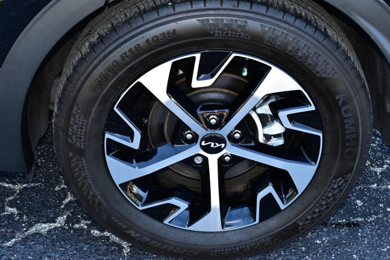 2024 Kia Sportage EX Tampa FL