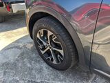 2024 Kia Sportage Hybrid EX Oshkosh WI