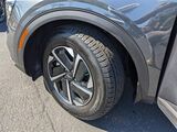 2024 Kia Sportage Hybrid LX Oshkosh WI