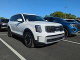 2024 Kia Telluride EX Oshkosh WI