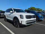 2024 Kia Telluride EX Oshkosh WI