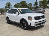 2024 Kia Telluride EX Oshkosh WI