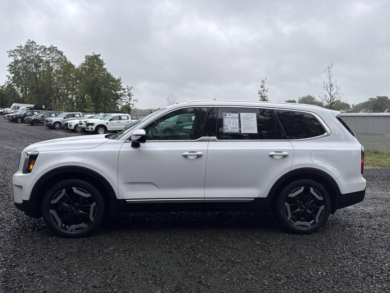 2024 Kia Telluride EX Warrenton VA