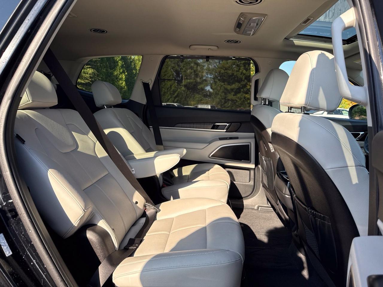 2024 Kia Telluride EX Chantilly VA
