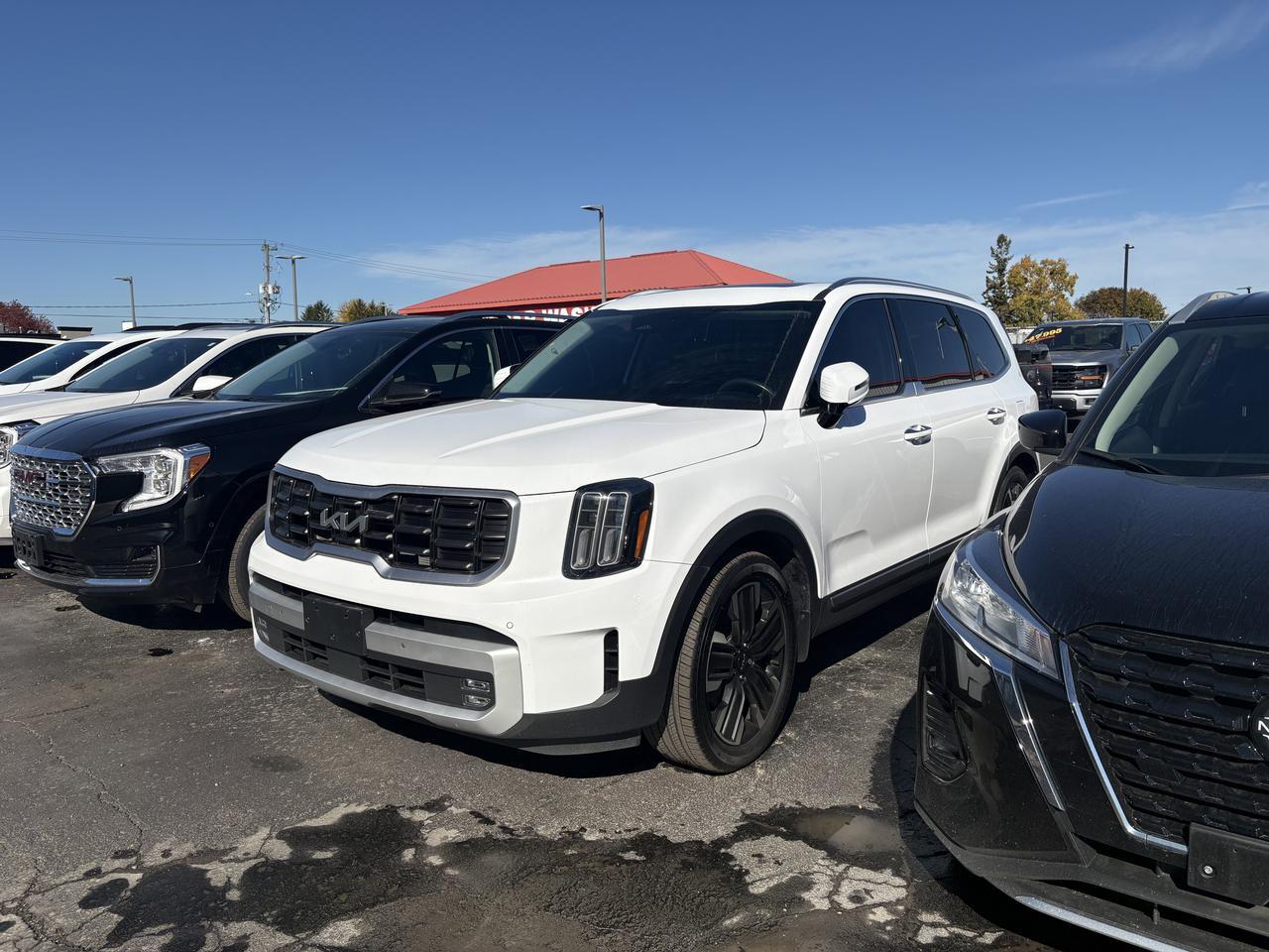 2024 Kia Telluride SX LIMITED AWD Listowel ON