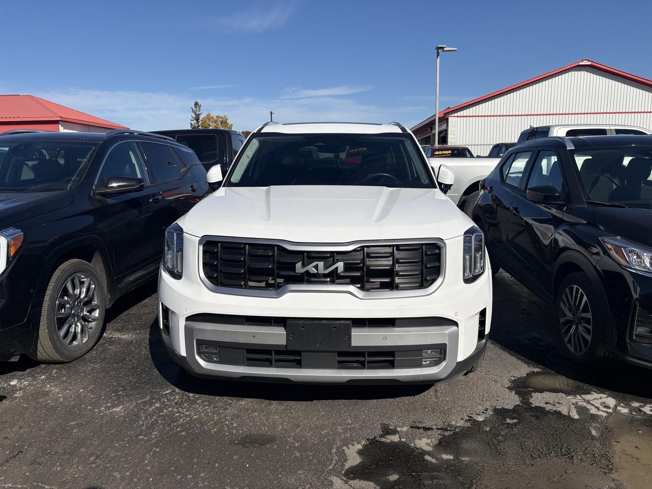 2024 Kia Telluride SX LIMITED AWD Listowel ON