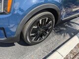 2024 Kia Telluride SX-Prestige Oshkosh WI