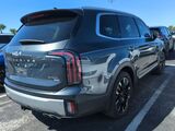 2024 Kia Telluride SX-Prestige Oshkosh WI